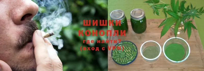 Бошки марихуана OG Kush  купить   Аргун 